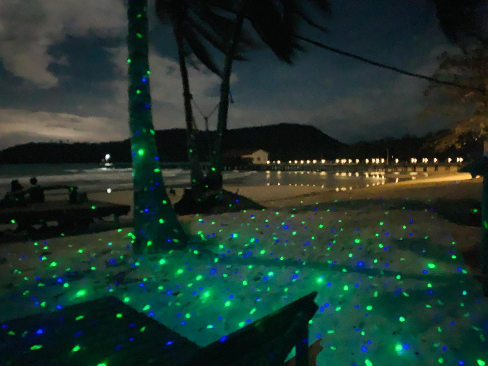 Easy Tiger - M'Pai Bay Beach, Đảo Koh Rong Samloem Ngoại thất bức ảnh