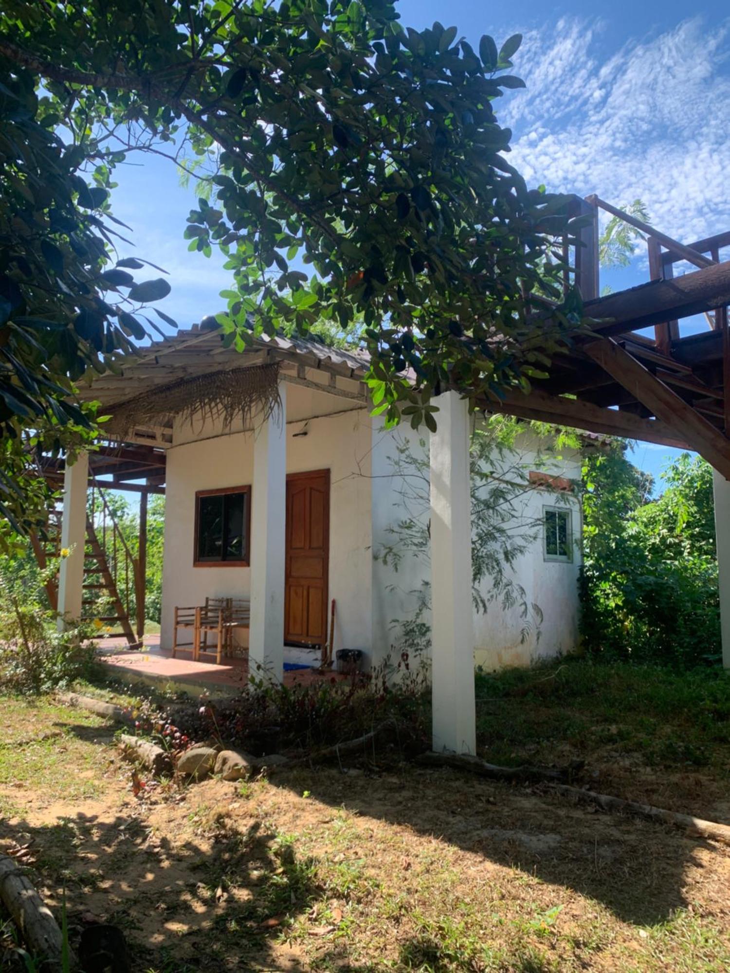 Easy Tiger - M'Pai Bay Beach, Đảo Koh Rong Samloem Ngoại thất bức ảnh