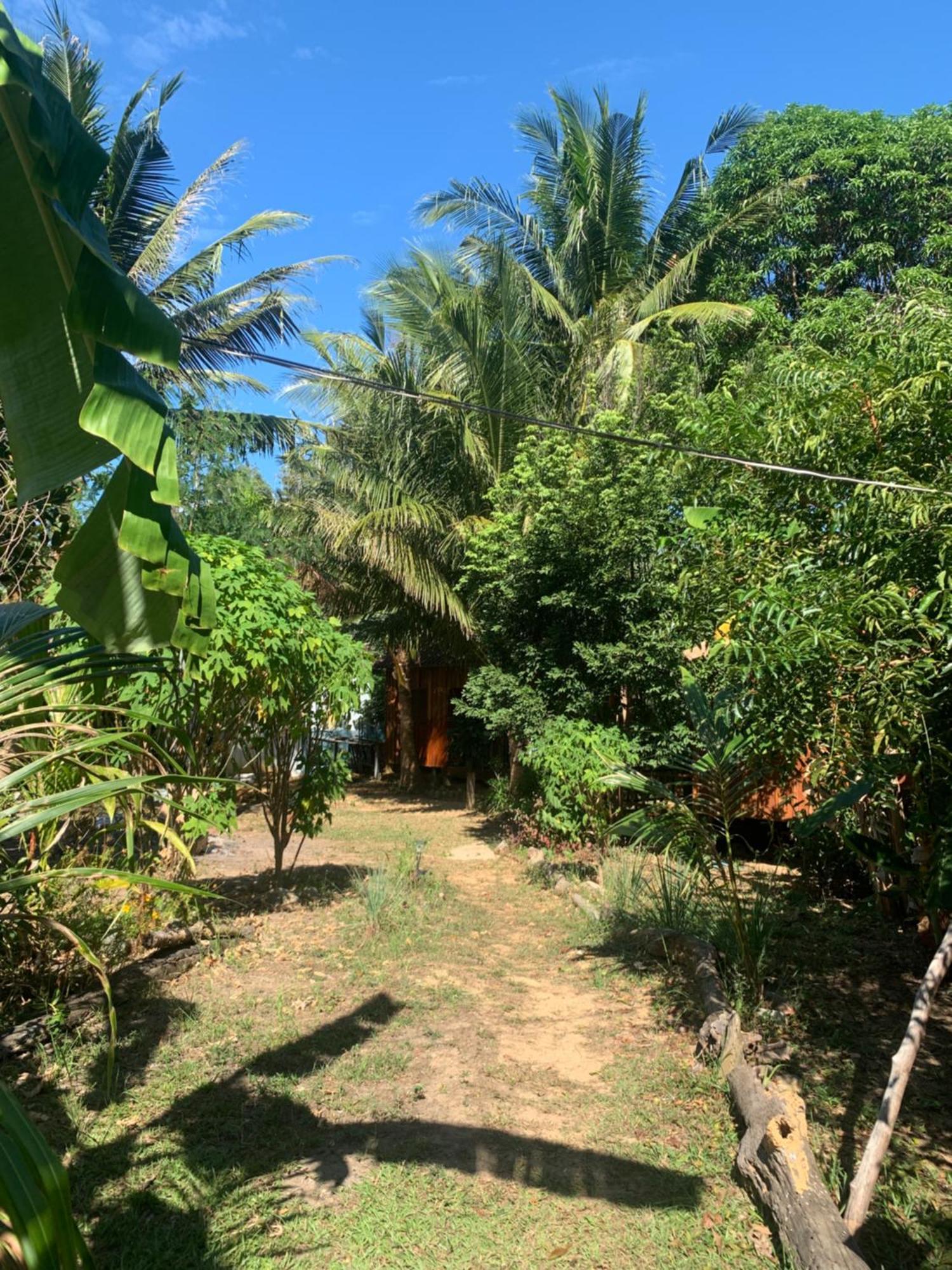 Easy Tiger - M'Pai Bay Beach, Đảo Koh Rong Samloem Ngoại thất bức ảnh