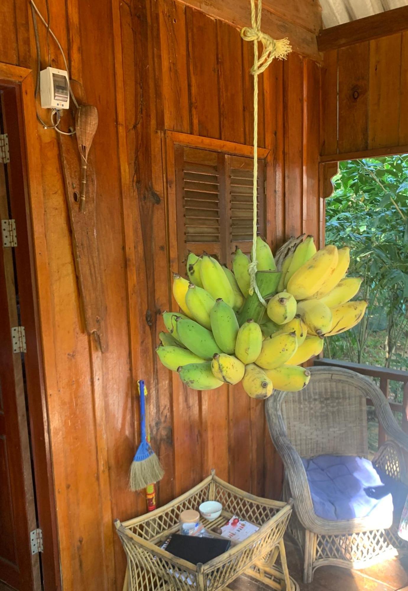 Easy Tiger - M'Pai Bay Beach, Đảo Koh Rong Samloem Ngoại thất bức ảnh
