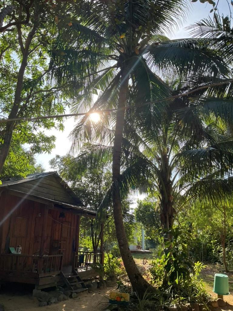 Easy Tiger - M'Pai Bay Beach, Đảo Koh Rong Samloem Ngoại thất bức ảnh